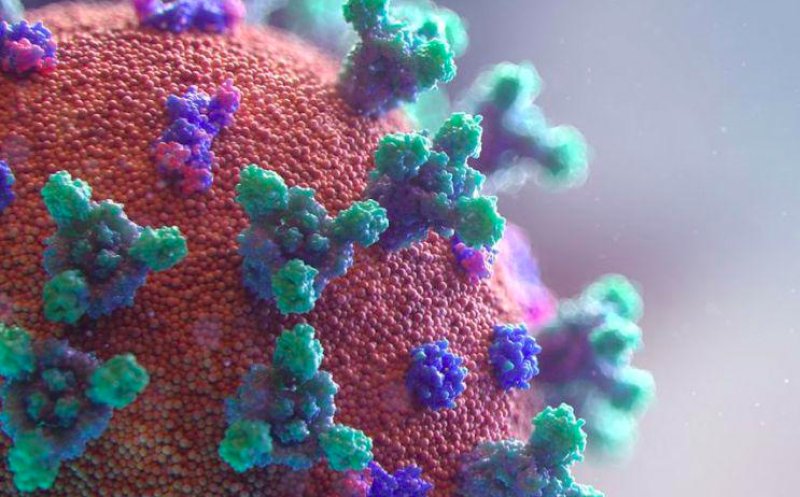 Avertizare EMA despre apariția unei noi variante de Coronavirus în această iarnă