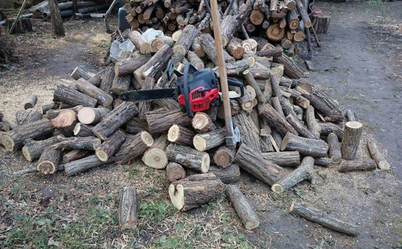 Romsilva va majora volumul de lemn pentru foc destinat populaţiei şi industriei pentru a acoperi cererea