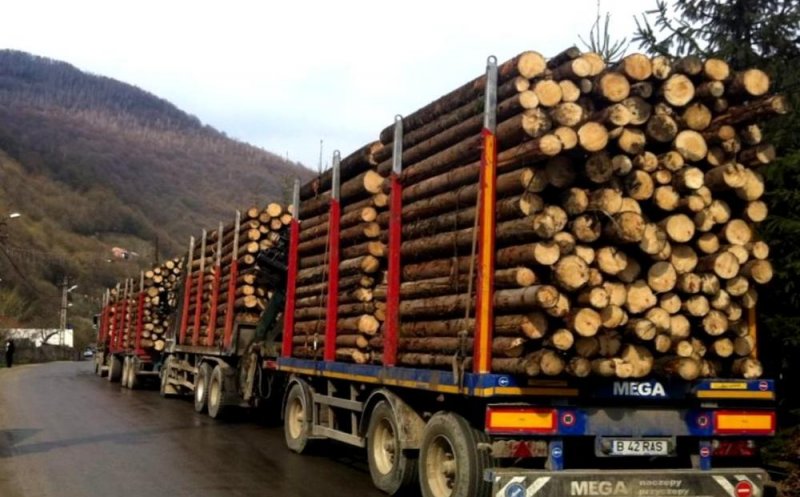 Mai multe leme de foc pentru populație. Cererea e mare. Romsilva suplimentează și industria cu 500.000 metri cubi