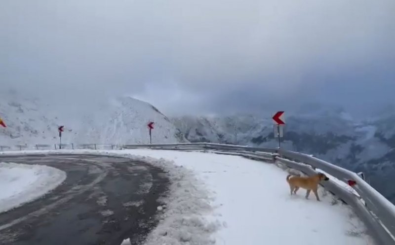 Ziua de Cluj | Atenție, strat de zăpadă la munte! Când se pun cauciucurile  de iarnă