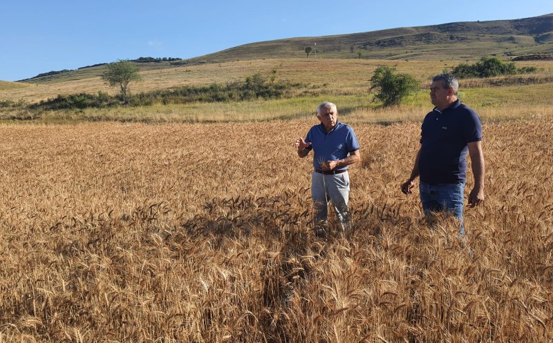 Ministrul Agriculturii: România a redus cu 5% risipa alimentară din 2016 până acum
