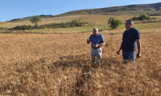 Ministrul Agriculturii: România a redus cu 5% risipa alimentară din 2016 până acum