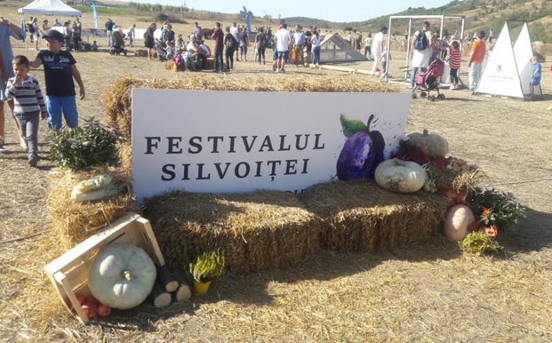 Festivalul Silvoiței revine la Cluj, la final de săptămână. VEZI programul evenimentelor