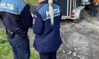 Cal lăsat fără supraveghere pe strada Pomet, CONFISCAT în Cluj-Napoca. Proprietarul a luat amendă pentru că şi-a chinuit animalul