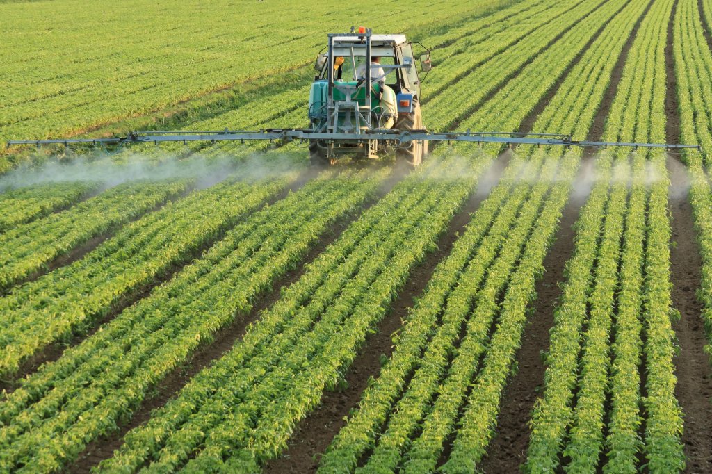 Cooperativele agricole din România riscă radierea dacă nu au situațiile financiare la zi