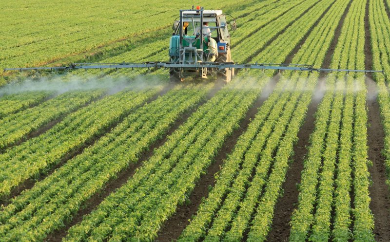Cooperativele agricole din România riscă radierea dacă nu au situațiile financiare la zi