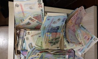 Cultură de cannabis, într-o pădure de lângă Cluj-Napoca. Trafic de droguri cu de toate: ciuperci cu efect halucinogen, instalație de ventilare, fertil