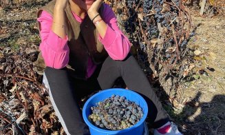 Harnic mai e băiatul Vlăduţei: De pe platoul de filmare, la cules de struguri