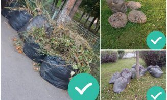 În atenția asociațiilor de proprietari din Cluj-Napoca: Colectare suplimentară a deșeurilor vegetale rezultate în urma activităților de întreținere a zonelor verzi