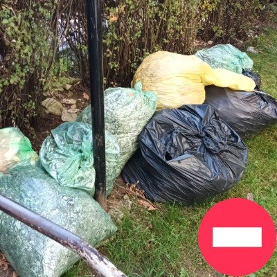 Ziua de Cluj | În atenția asociațiilor de proprietari din Cluj-Napoca:  Colectare suplimentară a deșeurilor vegetale rezultate în urma  activităților de întreținere a zonelor verzi