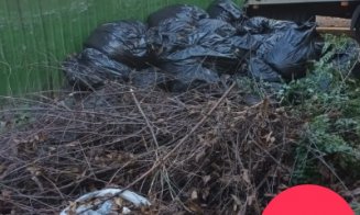 În atenția asociațiilor de proprietari din Cluj-Napoca: Colectare suplimentară a deșeurilor vegetale rezultate în urma activităților de întreținere a 