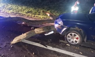 Copac căzut pe şosea în Apahida. Bărbat cu traumatisme la nivelul capului, transportat la spital