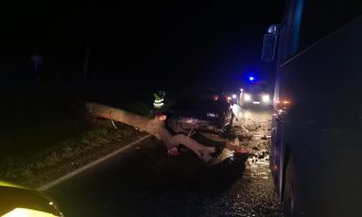 Copac căzut pe şosea în Apahida. Bărbat cu traumatisme la nivelul capului, transportat la spital