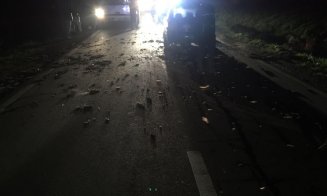 Copac căzut pe şosea în Apahida. Bărbat cu traumatisme la nivelul capului, transportat la spital