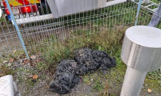 Cum arată canalizarea dintr-o comună de lângă Cluj-Napoca: „Ar trebui interziși țăranii”