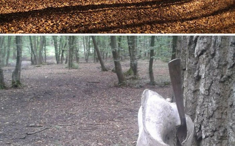 Un loc din Cluj, între cele mai înfricoșătoare din lume. TOPul cuprinde încă o locație din România