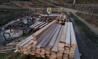 Percheziții de amploare la hoții de lemne dotaţi cu de toate, din Măguri-Răcătău