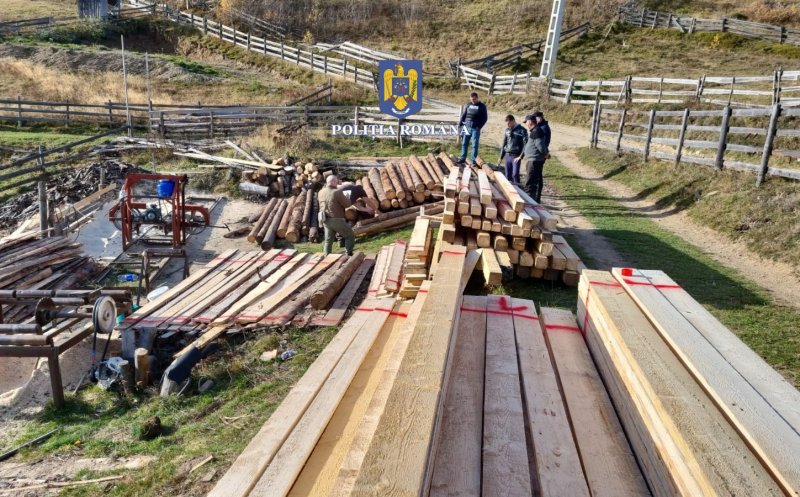 Percheziții de amploare la hoții de lemne din Măguri-Răcătău. Pădurarul fura din pădurea pe care "o păzea"