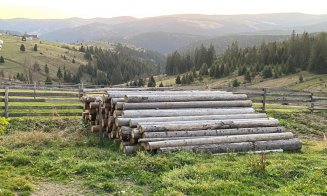Percheziții de amploare la hoții de lemne dotaţi cu de toate, din Măguri-Răcătău