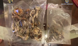 Plin de DROGURI în Cluj! Doi tineri, arestați pentru trafic. Polițiștii le-au confiscat mai multe kilograme de "marfă"