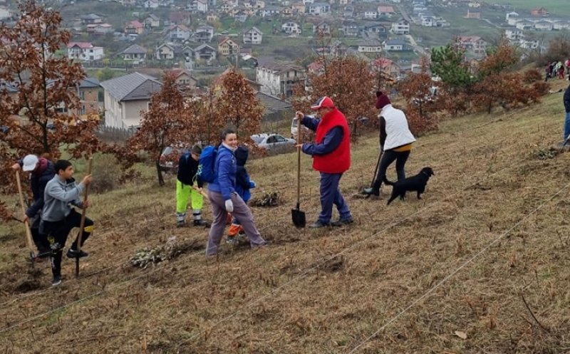 Acțiune de împădurire la Câmpenești. Au fost plantați stejari și frasini