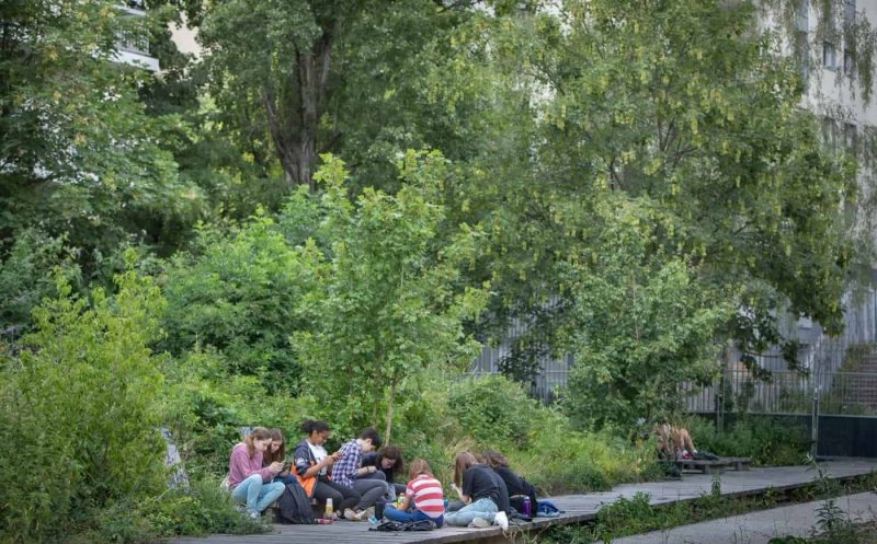 Bugetare participativă 2022. PROIECTUL cel mai VOTAT de clujeni