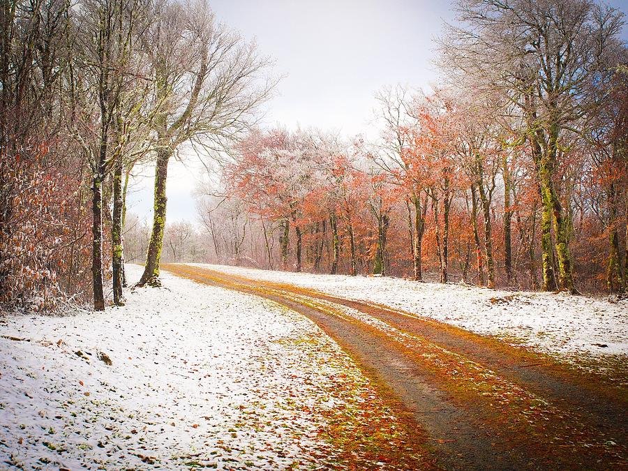 Vești noi de la meteorologi! Cum va fi vremea în minivacanţa de Sf. Andrei și 1 Decembrie