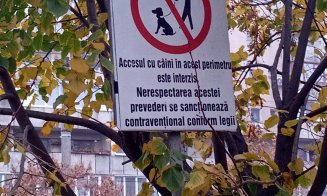 Bunicii din Mănăştur s-au săturat să stea DREPŢI şi vor băncile înapoi. Parcul de pe Islazului "jefuit" de locurile de repaus