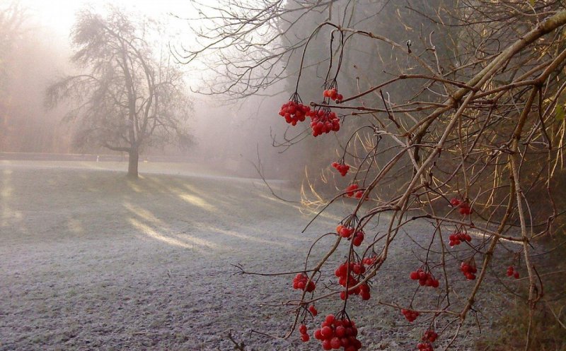 METEO: Prognoza pe următoarele două săptămâni. Temperaturi sub zero în Transilvania