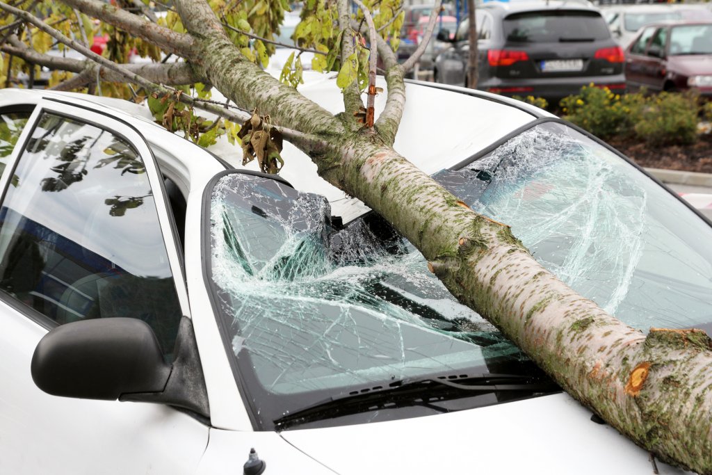 Accident mortal. A decedat la doar 18 ani după ce a intrat cu mașina într-un copac