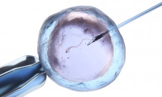 Statul acordă vouchere de 15.000 de lei pentru procedurile de fertilizare in vitro