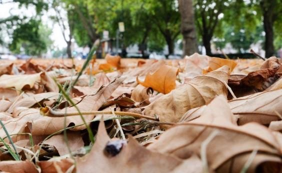 Descoperire macabră în Cluj-Napoca. Un bărbat a fost găsit spânzurat de un copac