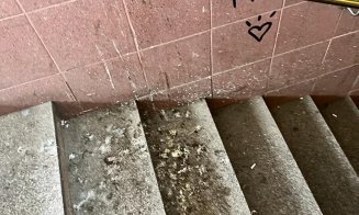 Jegul lipicios din pasajul de sub gara CFR a oraşului de 5 stele, Cluj-Napoca