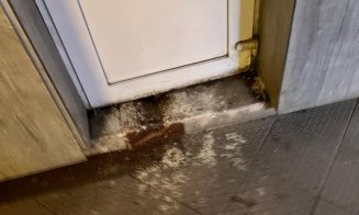 Jegul lipicios din pasajul de sub gara CFR a oraşului de 5 stele, Cluj-Napoca