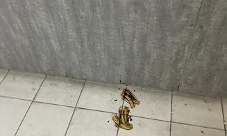 Jegul lipicios din pasajul de sub gara CFR a oraşului de 5 stele, Cluj-Napoca