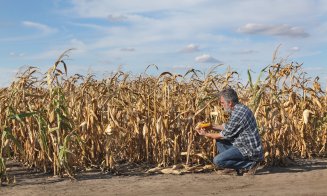 Veste bună pentru pentru agricultorii loviți de secetă. UE aprobat despăgubiri de 75 mil. euro