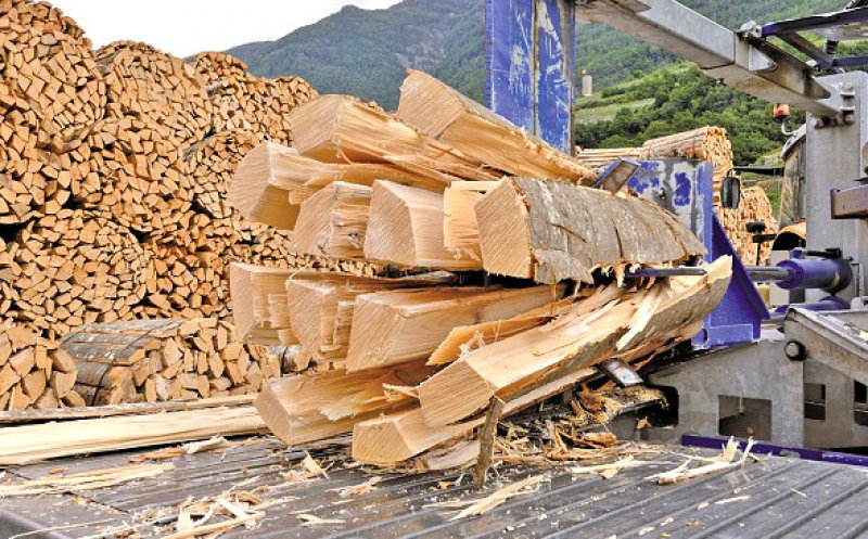 Afacerile de miliarde de euro ale austriecilor în România în domenii cheie: Petrol, gaz, lemn, drumuri, bănci, asigurări, auto