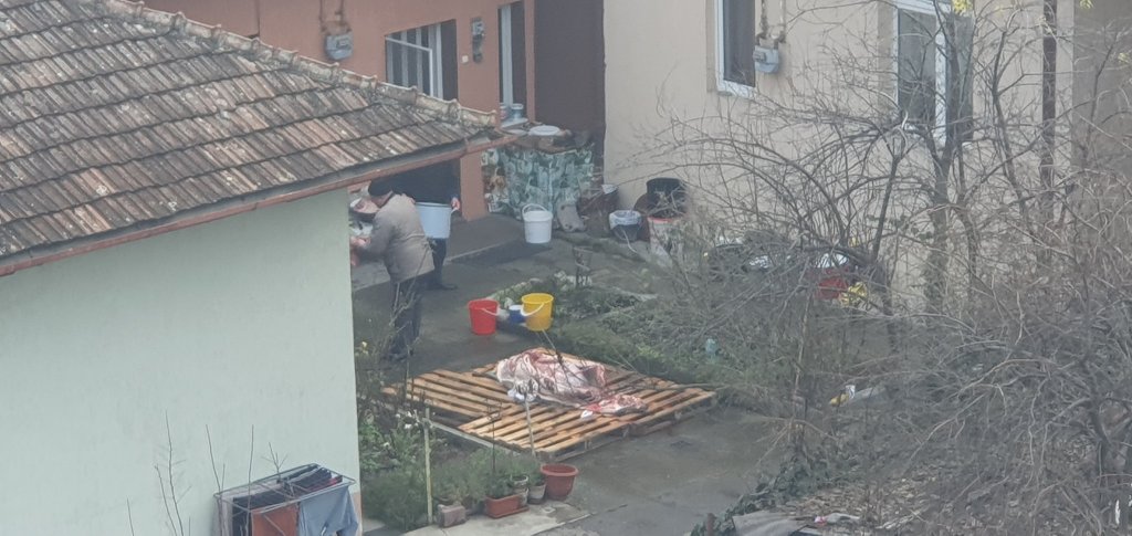 Tradiția e tradiție, chiar și în "orașul de cinci stele"! Porc tranșat în centrul Clujului.