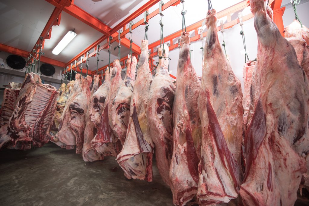 Producătorii de carne de porc din România: De abia supraviețuim cu prețul la care vindem acum