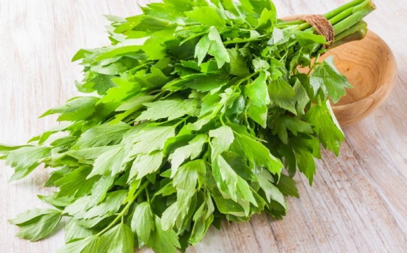 Planta-minune care te scapă de răceală, gripă. O ai ACASA