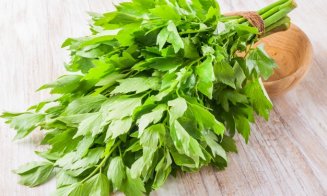Planta-minune care te scapă de răceală, gripă. O ai ACASA