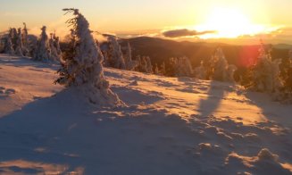 +22,5 C°! Record absolut de temperatură în România pentru luna ianuarie