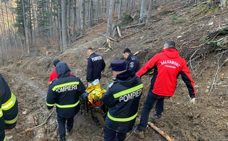 Un bărbat A MURIT în timp ce tăia un copac. O creangă l-a accidentat mortal