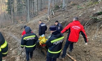 Un bărbat A MURIT în timp ce tăia un copac. O creangă l-a accidentat mortal