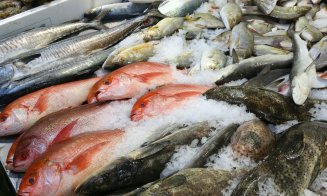 Avertisment InfoCons pentru cei care cumpără pește: Nu cumpăraţi dacă aveţi suspiciuni! / Ce trebuie să verificat cu atenție