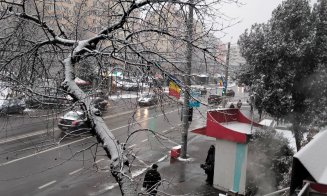 Prima NINSOARE la Cluj-Napoca din iarna aceasta!