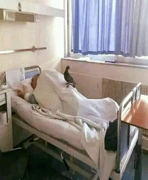 Bătrân lăsat singur în spital. Asistent SMURD: „De 23 de zile nu vine nimeni la acest pacient... doar un porumbel la două zile”