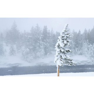 Iarna se menține pe poziții! COD GALBEN de viscol la munte. Temperaturile scad până la -12 grade