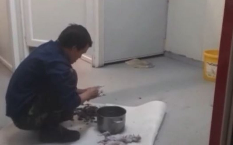 Imagini INCREDIBILE surprinse la Cluj! Vietnamez jupuind ȘOBOLANI pentru a-i găti: "Mănâncă tot ce mișcă"