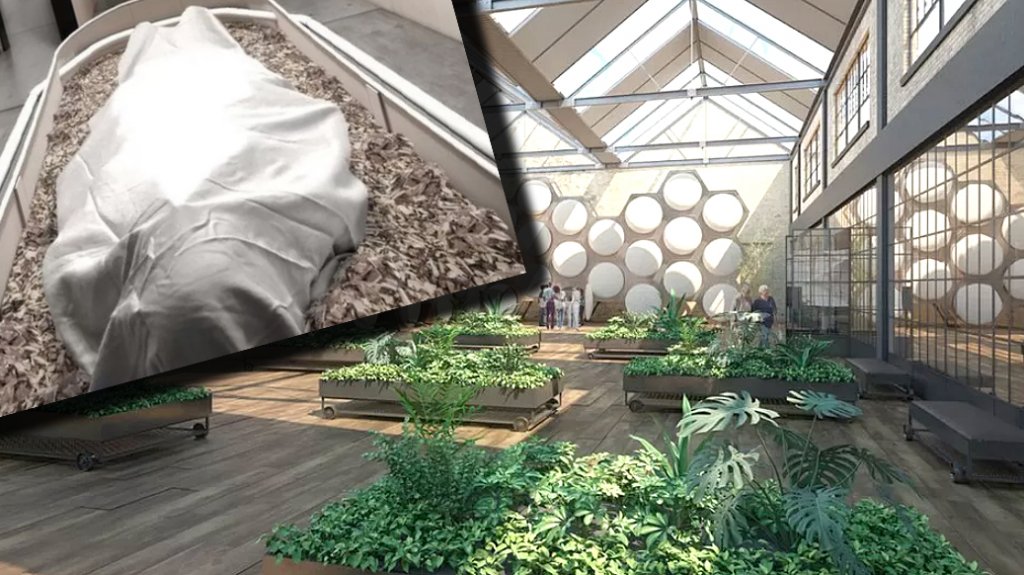 Adio cimitire şi crematorii: Cum vi se pare ideea de a deveni COMPOST după moarte